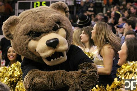 Creating Buzz: Using a Grizzly Bear Mascot Costume to Generate Media Attention